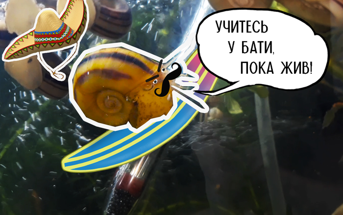     .     ,    .        .    ,       