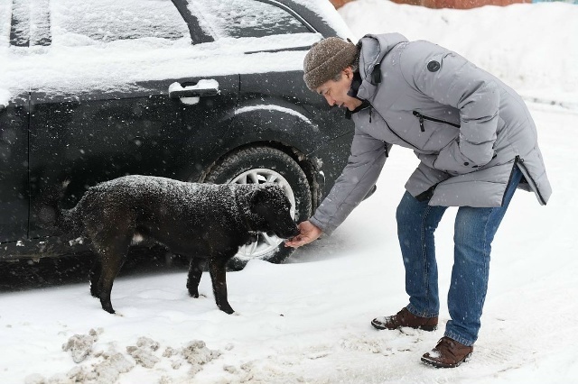 <!--noindex--><a href="https://pikabu.ru/story/otvet_user8295419_v_devyatiletnyuyu_devochku_rasterzali_sobaki_v_poselke_pod_kazanyu_13446218?u=https%3A%2F%2Fvk.com%2Fwall269517773_7000&t=https%3A%2F%2Fvk.com%2Fwall269517773_7000&h=244e6ecd0eb0daf116392235c3c84f5795157254" title="https://vk.com/wall269517773_7000" target="_blank" rel="nofollow noopener">https://vk.com/wall269517773_7000</a><!--/noindex-->