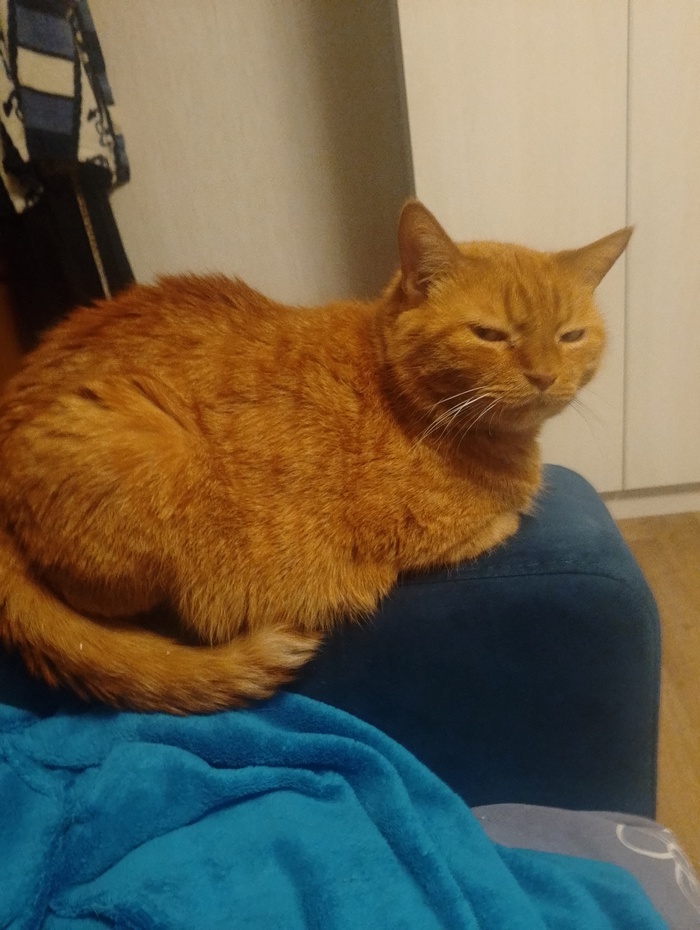    &quot;,   ,   &quot;