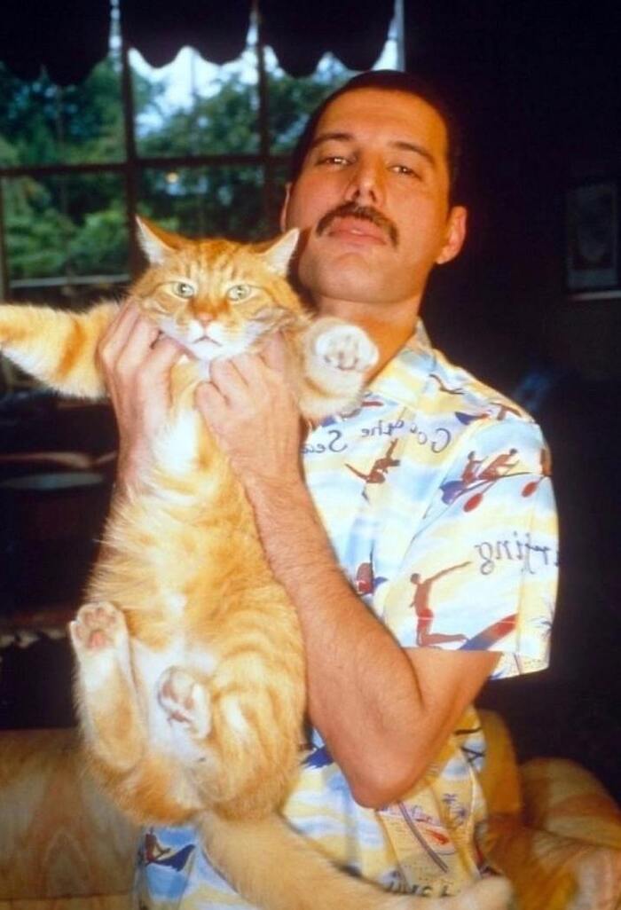 Фредди Меркьюри с котом Оскаром.