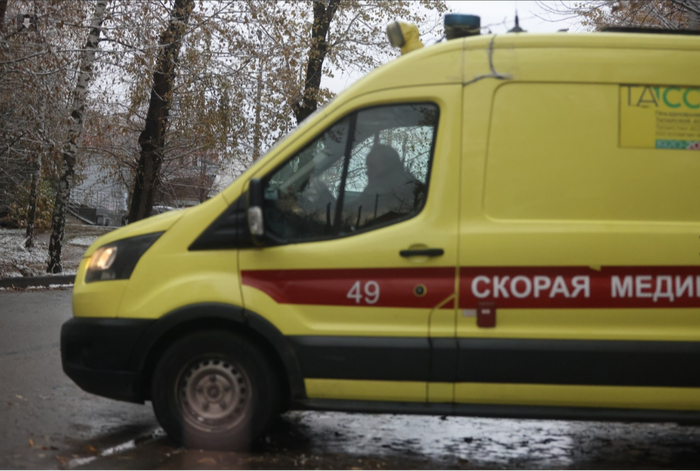 Ответ на пост «Девятилетнюю девочку растерзали собаки в поселке под Казанью»