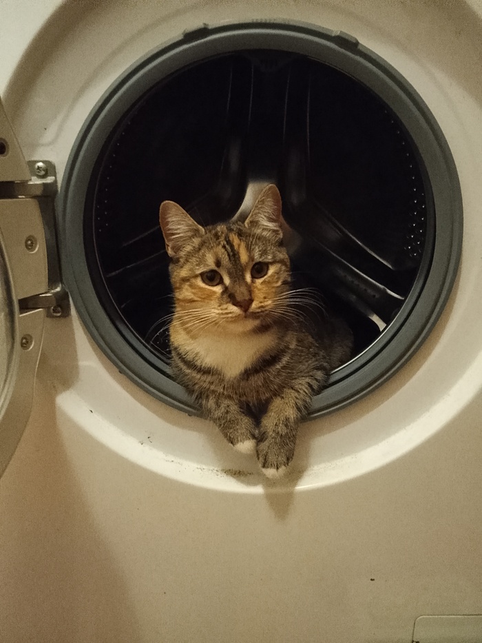    &quot;,   ,   &quot;