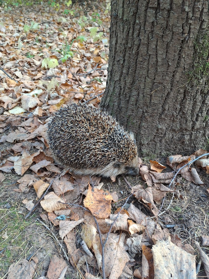 Фото автора.
