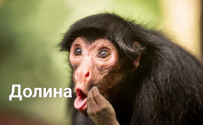 Пикабу сегодня в любой день