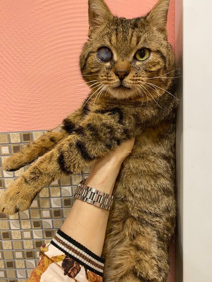 Вот такой серьёзный взгляд был в приюте