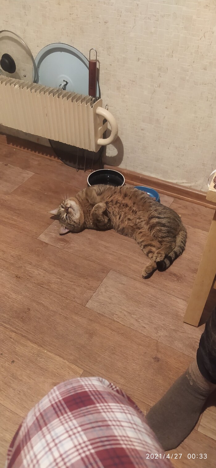 И даже иногда балдеем не отходя от миски