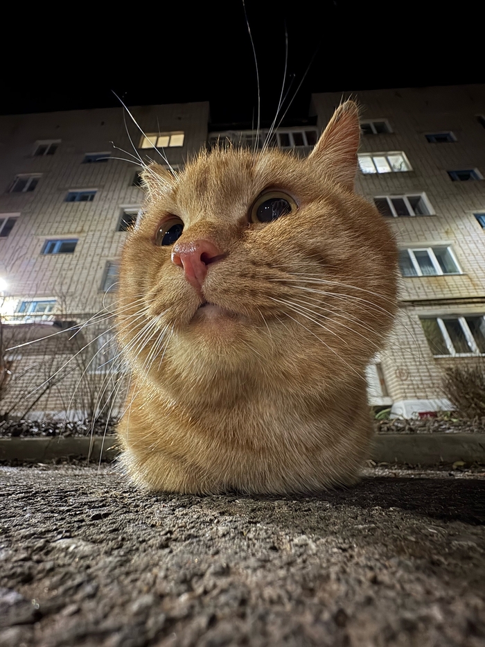 <!--noindex--><a href="https://pikabu.ru/story/bukhanka_ryizhego_13448254?u=https%3A%2F%2Fvk.com%2Fwall-126988526_984565&t=https%3A%2F%2Fvk.com%2Fwall-126988526_984565&h=834a6ac2cd14afba947d917b83b88cc8c5834f16" title="https://vk.com/wall-126988526_984565" target="_blank" rel="nofollow noopener">https://vk.com/wall-126988526_984565</a><!--/noindex-->