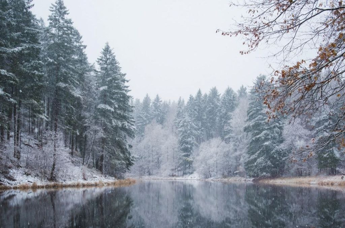 Зимний дивидендный сезон, инфляция ниже 7%, отчеты, размещения облигаций и другие новости в обзоре главных событий недели