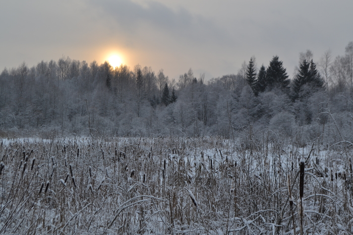 Смоленское Поозерье. Ещё десяток километров по светлой дороге и... треск горящих дров в печке, тепло, уют.