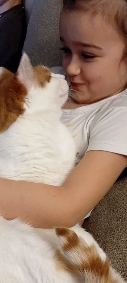 Мой кот рыжик