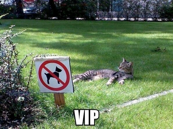 VIP