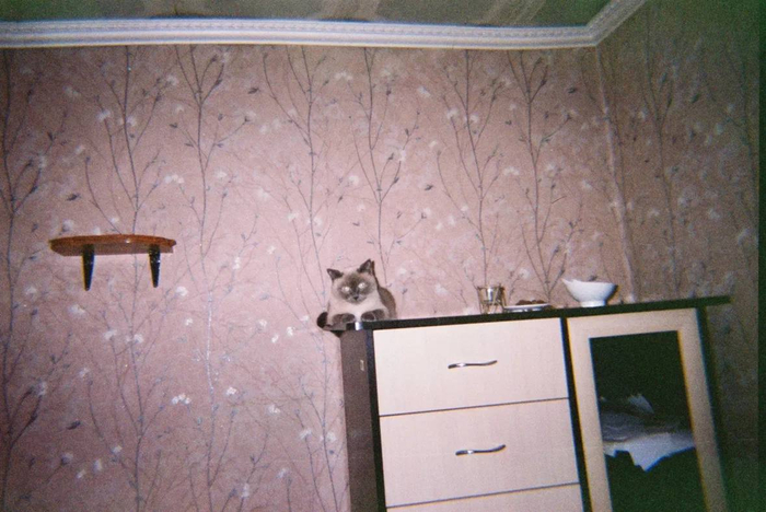 немного пленочки)