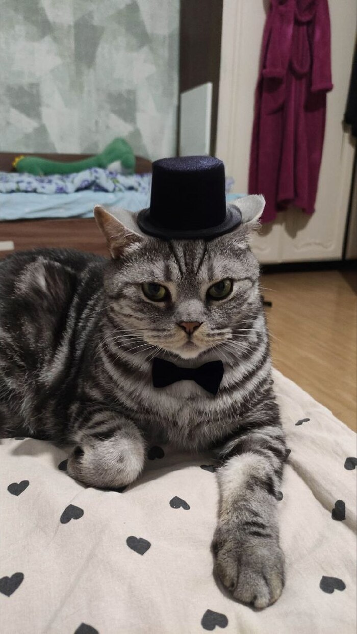    &quot;,   ,   &quot;