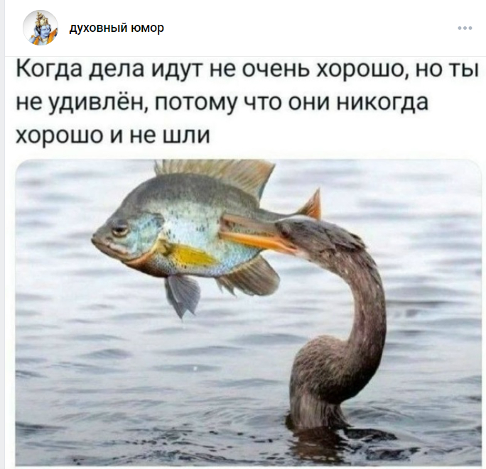 Стабильность. Пофиг=игнор=БОН. Пофиг фейс в любой ситуации