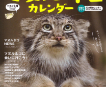 ������� ��������� �� ������ 2026