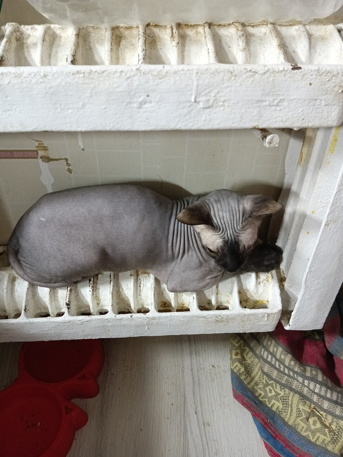    &quot;,   ,   &quot;