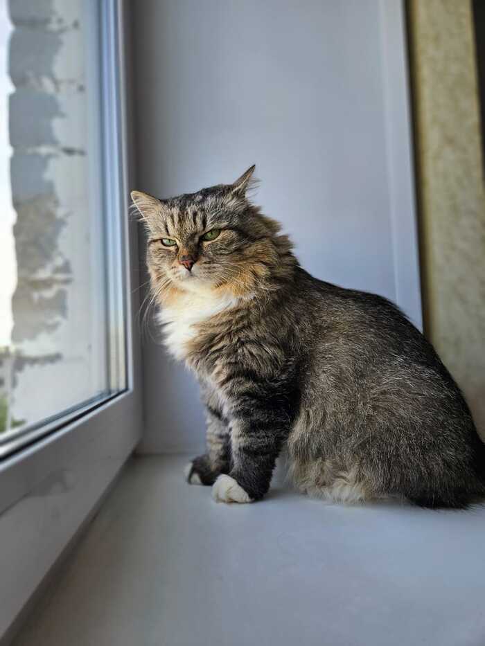 Была очень недовольна, когда ее разбудили