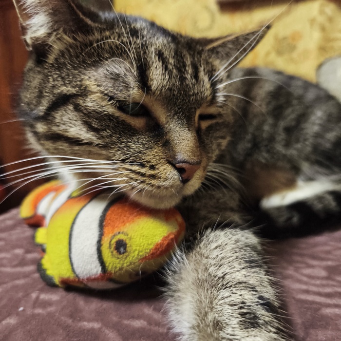 На рыбасное...