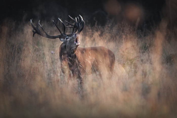 :  <a href="https://pikabu.ru/story/osnovnoy_instinkt_13452454?u=https%3A%2F%2Frtraveler.ru%2Fphoto%2F1479742%2F%3Feditorial_photos%3D1&t=%D0%BE%D1%82%D1%81%D1%8E%D0%B4%D0%B0&h=bb94fd24f77facf092221f4588f65b36d688e2cc" title="https://rtraveler.ru/photo/1479742/?editorial_photos=1" target="_blank" rel="nofollow noopener"> </a>