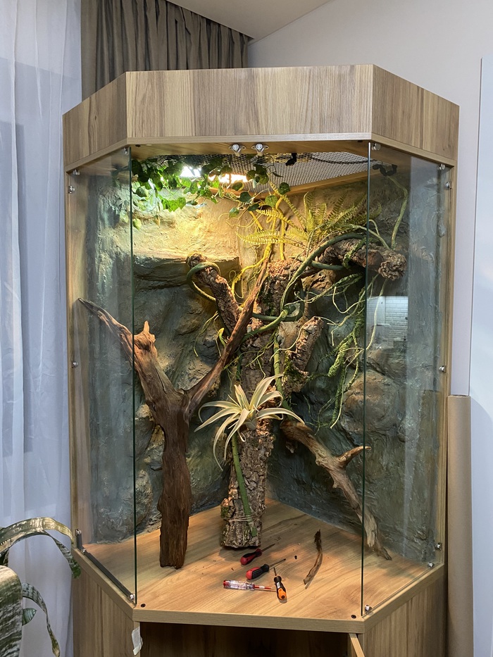 Примерка декораций, коряга собрана из трубок пробковой кор