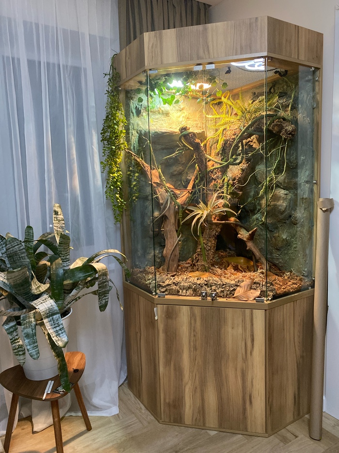 Итого. Можете попробовать найти тут жильца)