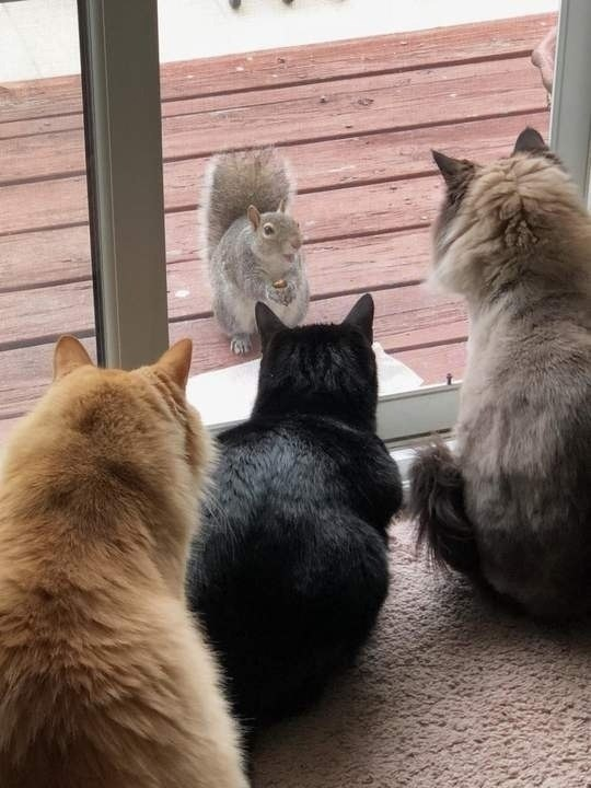 Просыпаюсь сегодня утром, и вижу такую картину