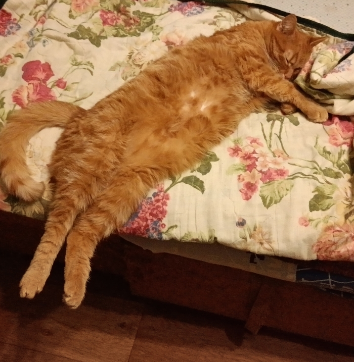  SoulsBroker  &quot;,   ,   &quot;