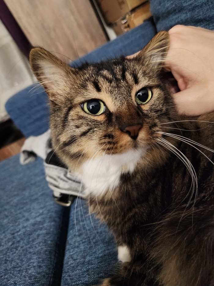 Ежедневный Рислинг #128