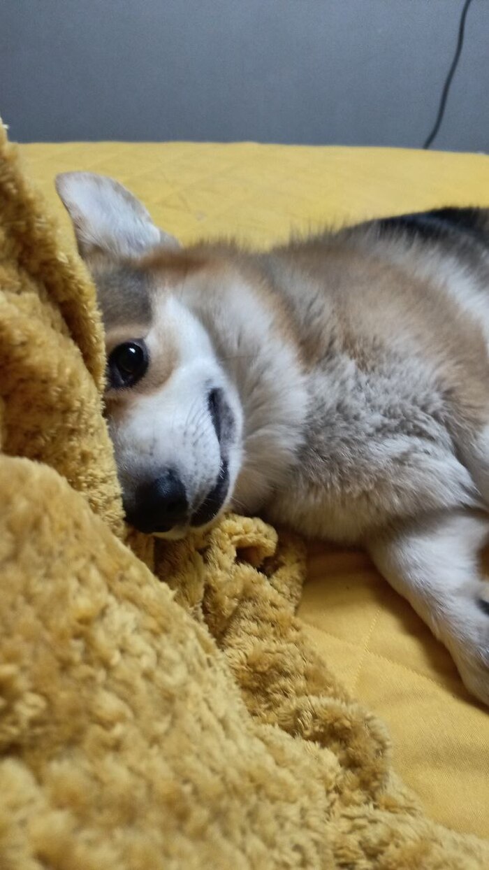    &quot;,   ,   &quot;