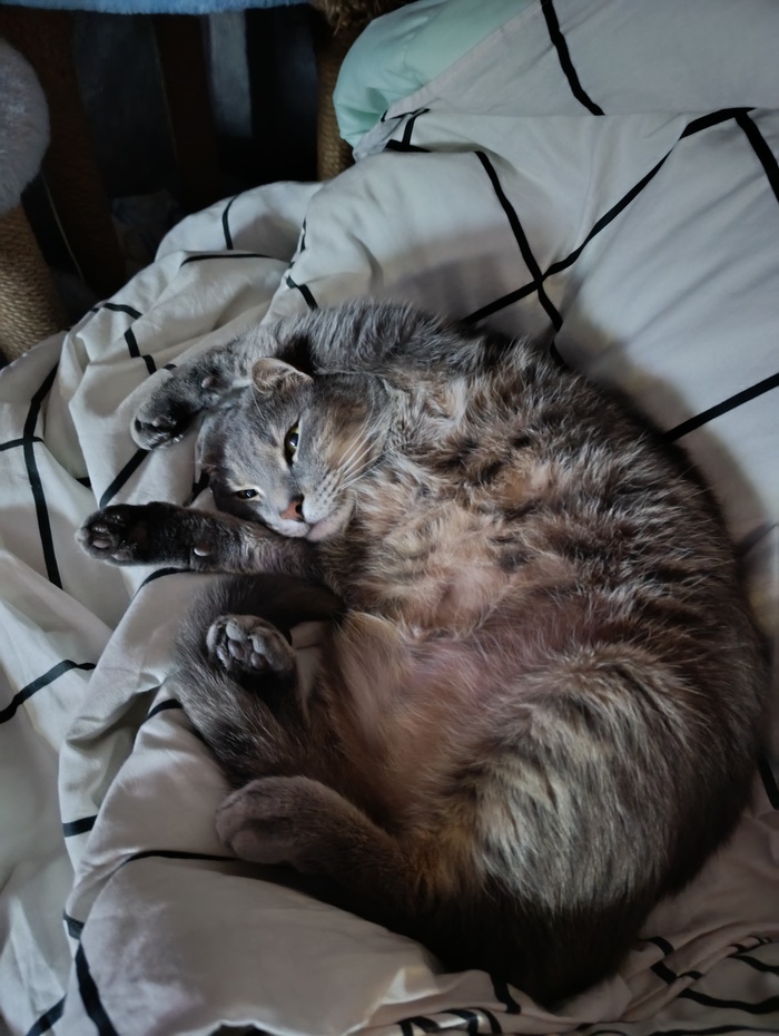 Прыщ за 5 тыщ