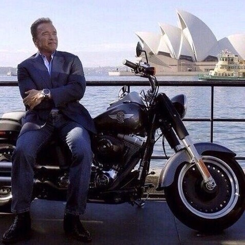 Арнольд Шварценеггер о целях