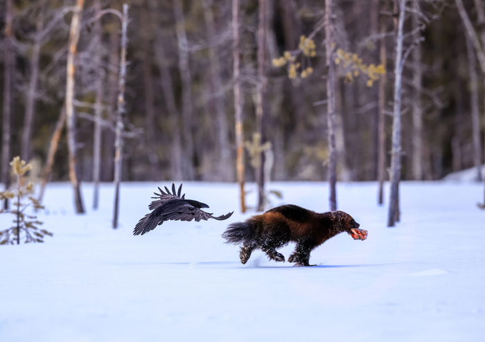 Было ваше, стало наше!