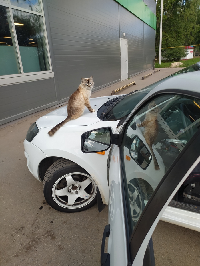 Рязанский рэкет