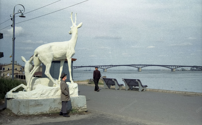 Автор: Владимир Петров