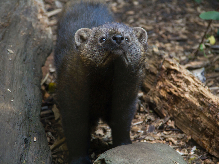  2009           12- .   ,     . ,  !