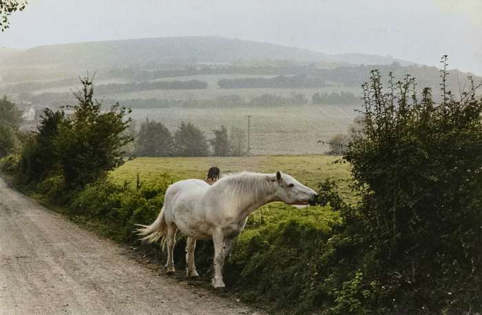 Фотограф: Анри Картье-Брессон