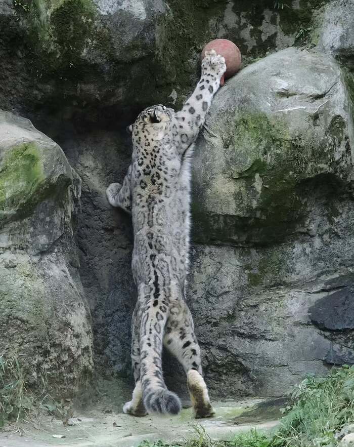 Вот ты куда закатился