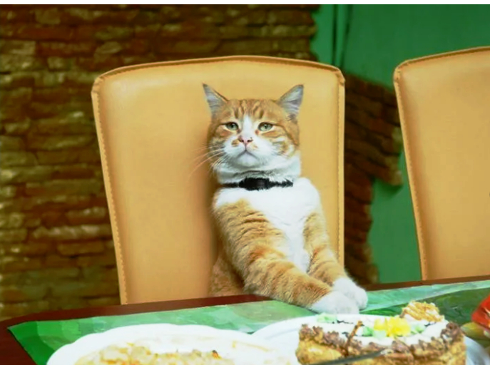 Грустно, когда подарили, совсем не то, о чем ты мечтал ("Путевку на море)...