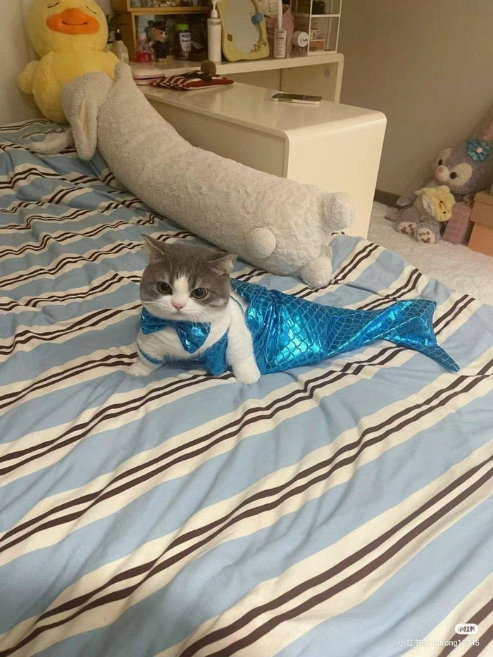 Маленького вынесло на берег