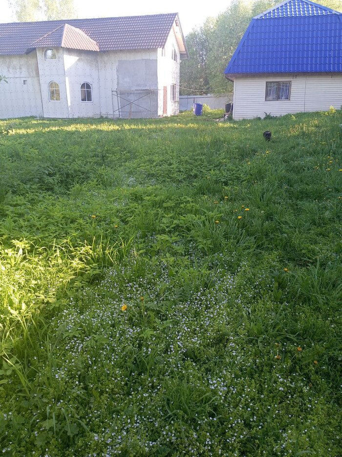   !   . 170 .     .    )