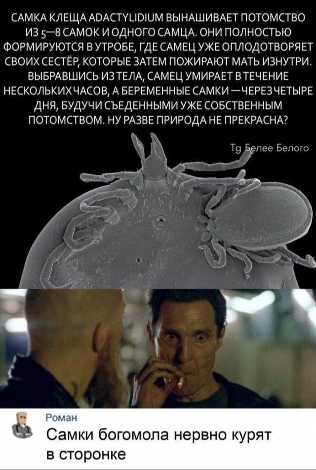 <!--noindex--><a href="https://pikabu.ru/story/chernyiy_yumor__on_v_prirode_zalozhen_iznachalno_13467078?u=https%3A%2F%2Ft.me%2Fbeleebelogo%2F17848&t=https%3A%2F%2Ft.me%2Fbeleebelogo%2F17848&h=9a3ec7b74f209542a7964293d588d6b6c04a4d53" title="https://t.me/beleebelogo/17848" target="_blank" rel="nofollow noopener">https://t.me/beleebelogo/17848</a><!--/noindex-->