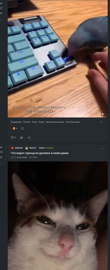 Довыёживался...