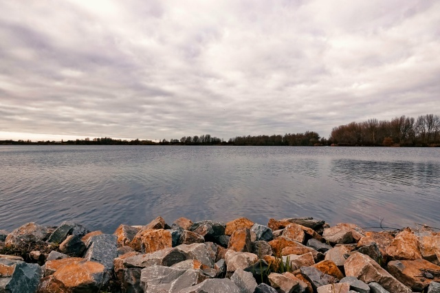    .        , ,  ,  -      .