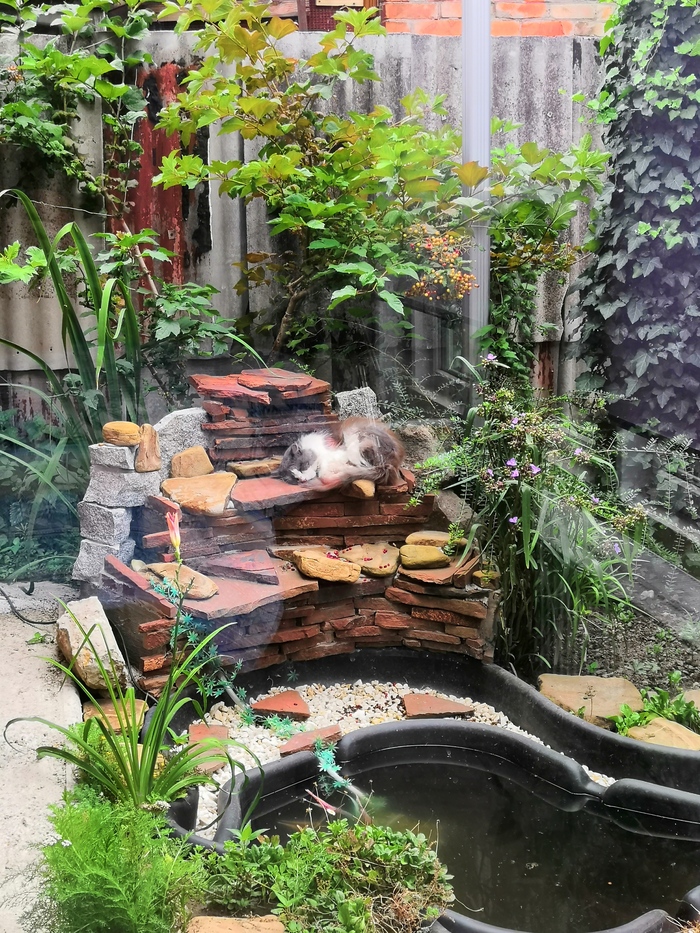    &quot;,   ,   &quot;