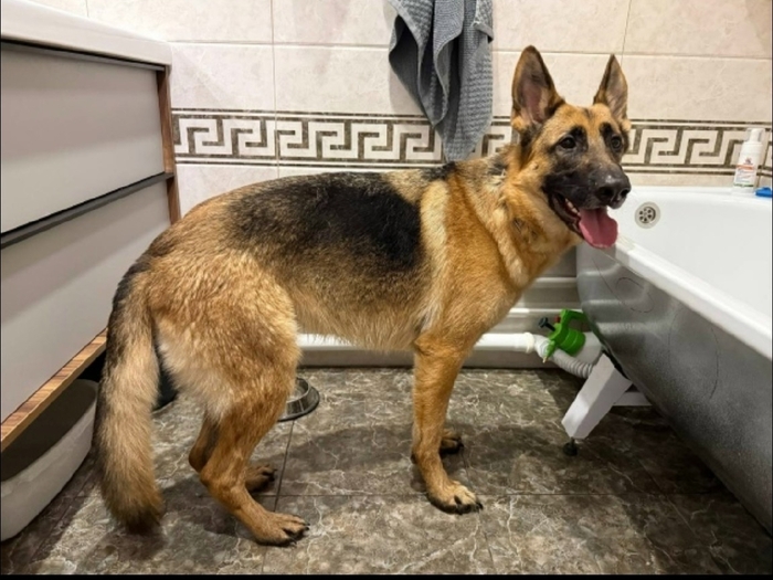 Кто потерял?