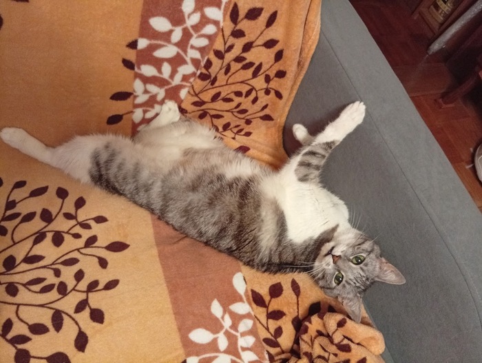  CJIy4auHo  &quot;,   ,   &quot;