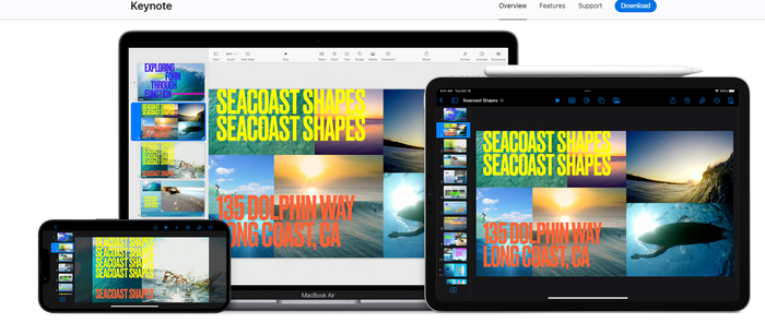   PowerPoint 2025     Microsoft