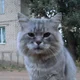 Аватар пользователя sanchouzes
