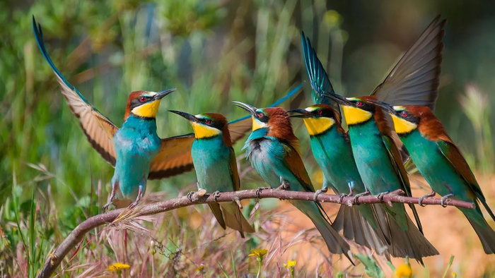       ()  .    30-       !