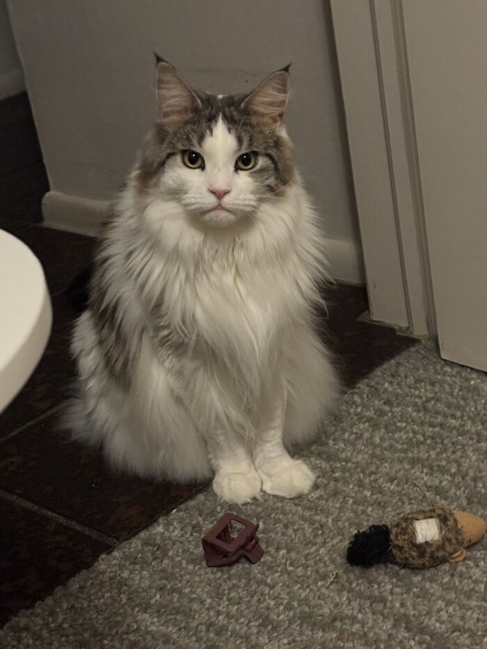 <!--noindex--><a href="https://pikabu.ru/story/net_vremeni_obyasnyat_kozhanyiy_no_tyi_dolzhen_yeto_brosit_podalshe_13477568?u=https%3A%2F%2Fx.com%2FTweetsByBug%2Fstatus%2F1996269959723544898&t=https%3A%2F%2Fx.com%2FTweetsByBug%2Fstatus%2F1996269959723544898&h=bfae464fd7f444192880d03019230d7f5d4055ff" title="https://x.com/TweetsByBug/status/1996269959723544898" target="_blank" rel="nofollow noopener">https://x.com/TweetsByBug/status/1996269959723544898</a><!--/noindex-->